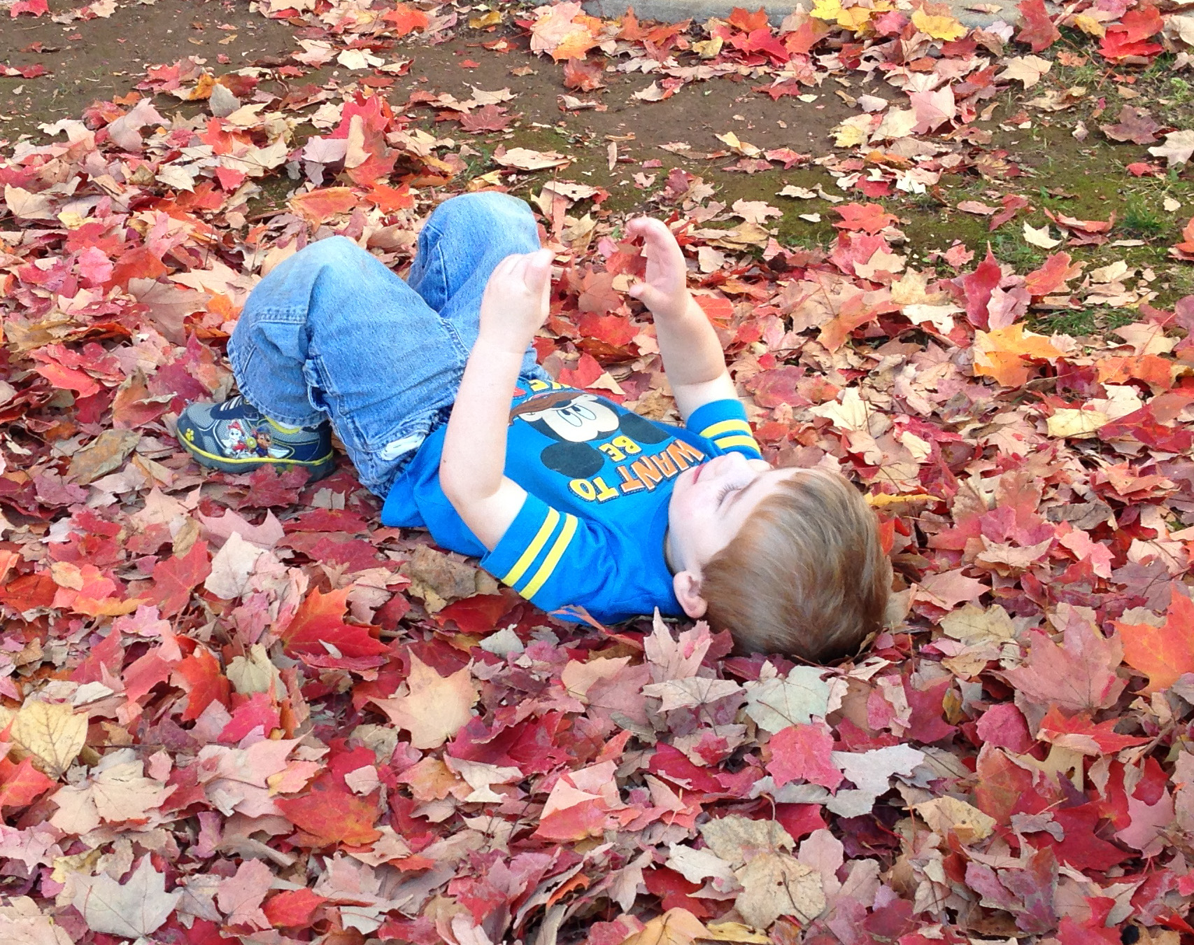 child plays with leaves at Community Child Care Center