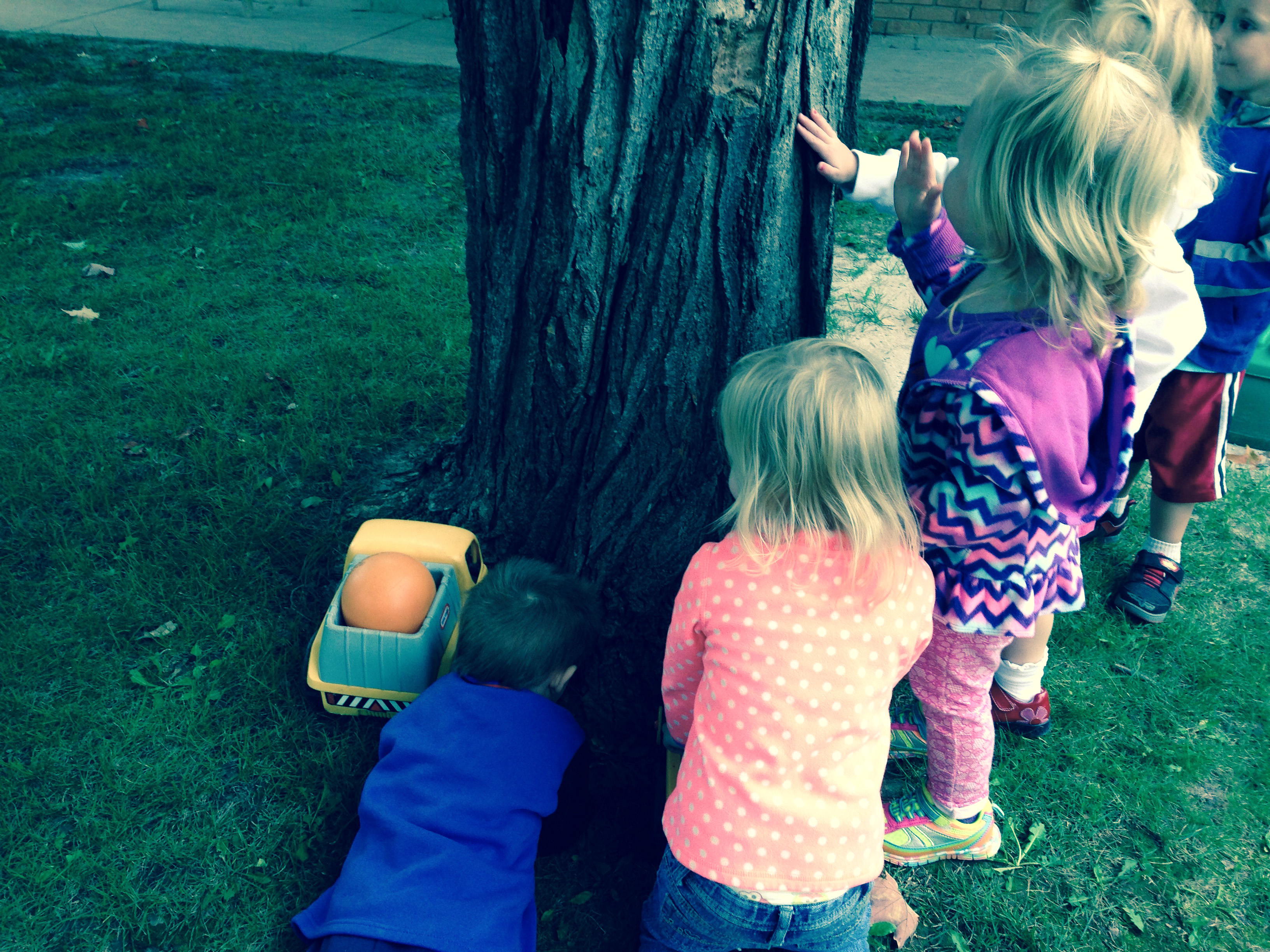 children inspect tree at Community Child Care Center